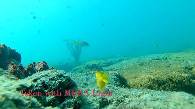 MERA Light + Camera Video смотреть онлайн