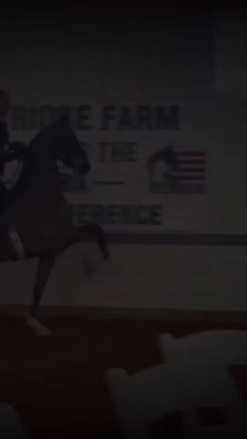 This horse is absolutely stunning!The rider was so gentle too!!This didn’t turn out how I planned.😭 смотреть онлайн