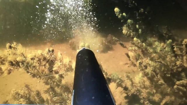 Сазан 4 кг , Астрахань смотреть онлайн