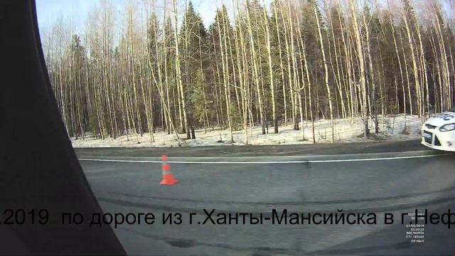 Погибший Лось на дороге смотреть онлайн