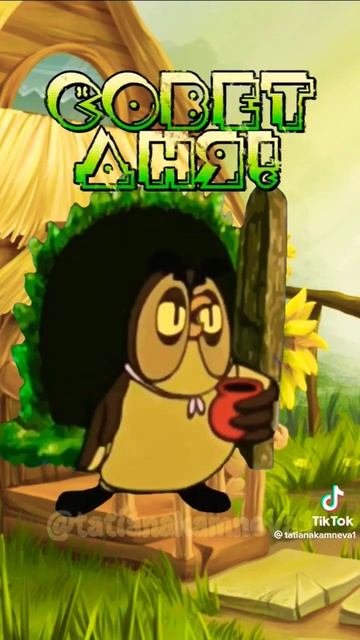 СОВЕТ ДНЯ/#shots #shorts #сова #мемы #мультик #приколы #owl смотреть онлайн