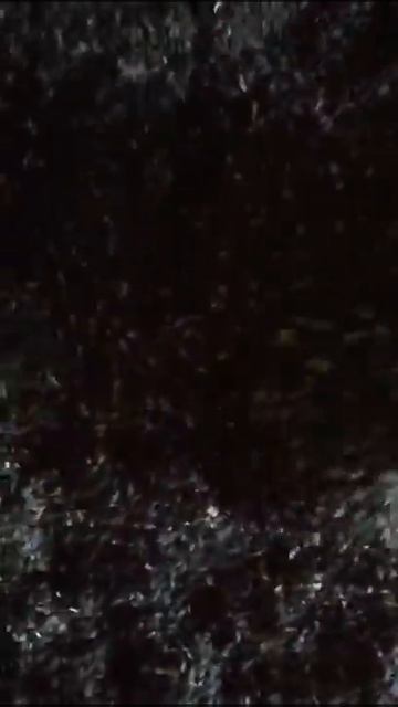 Семечки на складе