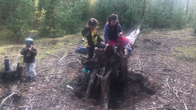 Смайлик Даня нашёл большой гриб