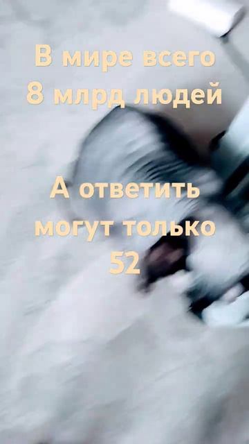 название съели попугай барсук мышь крыса бурундук смотреть онлайн