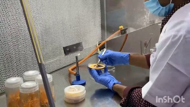 Nu-Prana Cordyceps Growing Facility