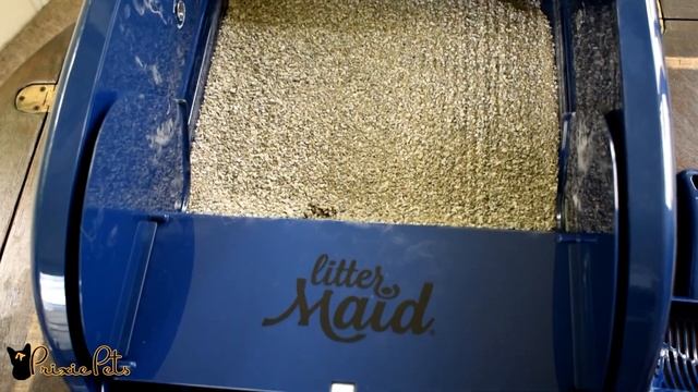 Litter Maid Automated Cat Box Features Review смотреть онлайн