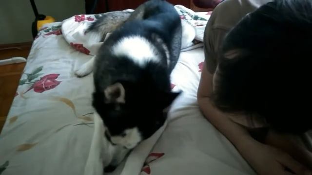 Мужики не целуются