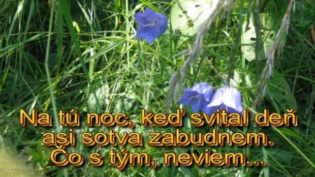 Dušan Hlaváček - Odpúšťaj смотреть онлайн