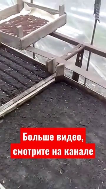 Оптимальная температура для проращивания семян #огород #сад #лайфхаки #рассада смотреть онлайн