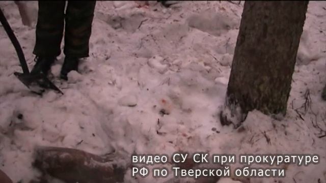 Расчлененка