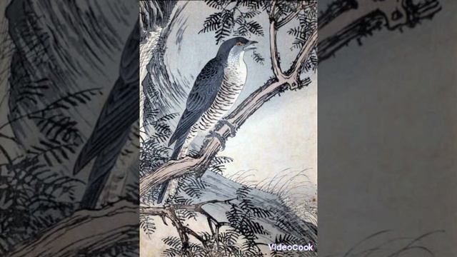 @ Strannik На китайском #Кукушка#💕💕💕🖐️😂😂😄