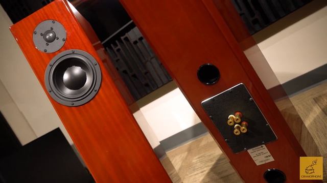 The Culmination Of Totem: Totem's Forest Signature Floorstanding Speaker