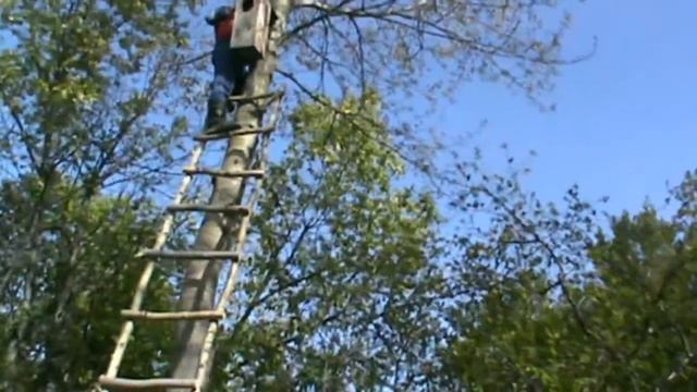 Достраиваем избу. Вешаем гоголятни....