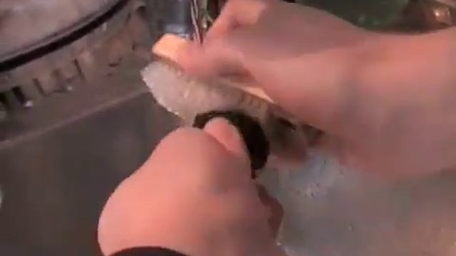 Washing Truffles смотреть онлайн