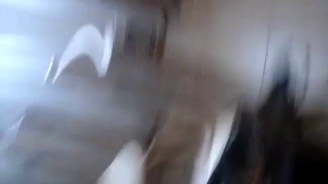 Ловим птицу часть 2 смотреть онлайн