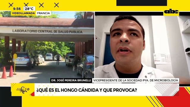 ¿Qué es el hongo candida auris? смотреть онлайн