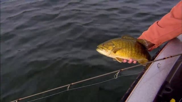 Todays Hair Jigs For Monster Smallmouth Bass смотреть онлайн