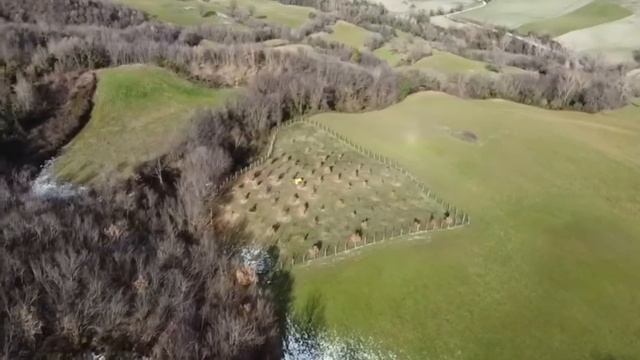 Truffle Experience смотреть онлайн