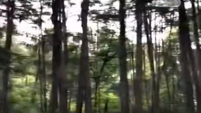 Армагеддон затерянного мира смотреть онлайн