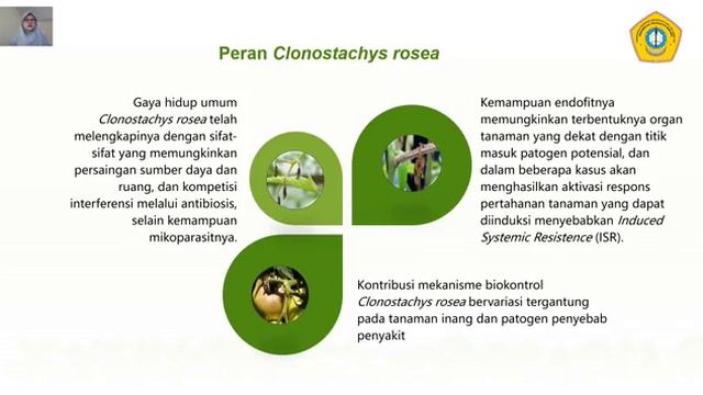 Agen Antagonis Clonostachys Rosea || Teknologi Proteksi Tanaman