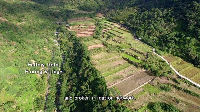 Documentary：Season of Healing 復新好時光 （Short Version）- English（4K） смотреть онлайн