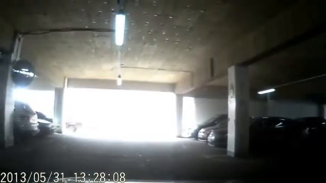 Прикольные животные 2015 19 смотреть онлайн