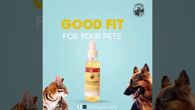 ITCH FREE SPRAY смотреть онлайн