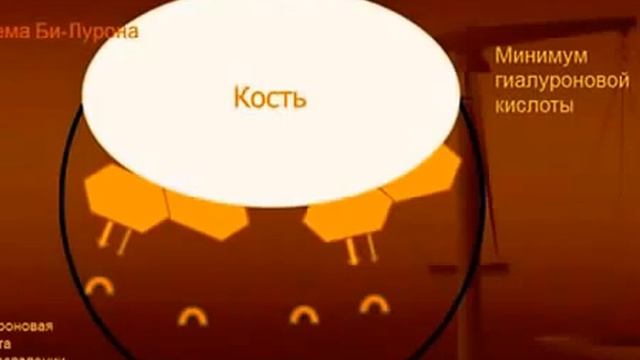 Би Лурон Новый революционный продукт для здоровья суставов Презентация доктора Душека смотреть онлайн