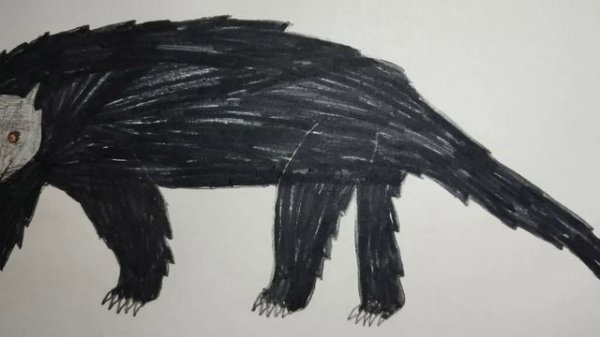 Sound Effects-Binturong