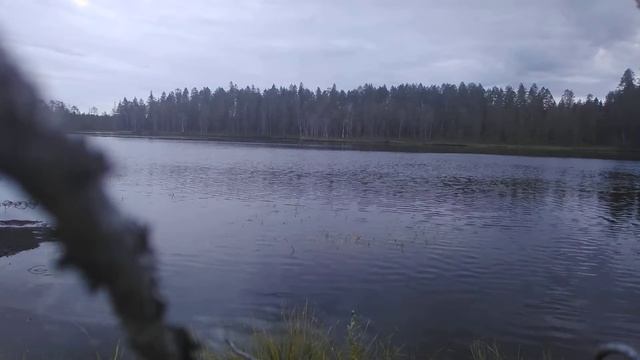 Валерій Шпичка Сезонная работа в Финляндии. смотреть онлайн