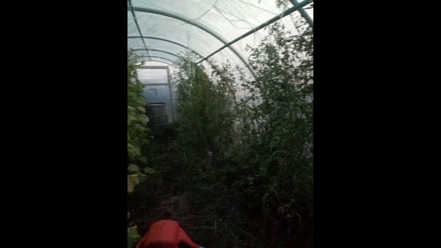 ВЛОГ в Саду ли В Огороде смотреть онлайн