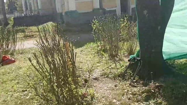 Из Гатчины еду работать в Боровое смотреть онлайн