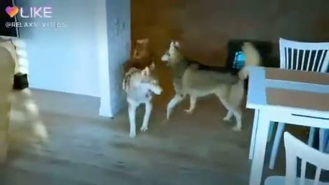 Ура вкусняшки смотреть онлайн