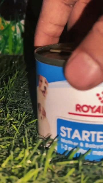 Royal Canin Wet food for Mother and baby dog | Catlitter.lk | Sinhala смотреть онлайн