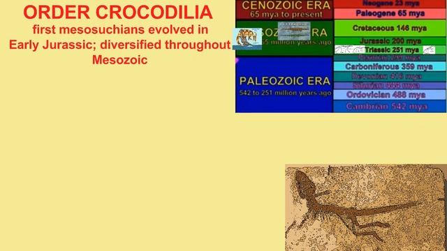 fossil crocodilians смотреть онлайн