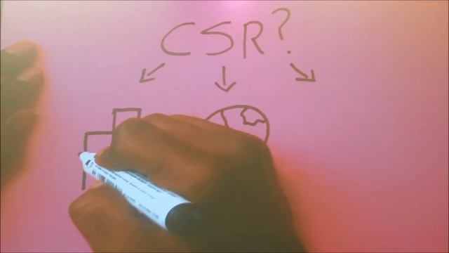 MGMT 3031: BUSINESS STRATEGY AND POLICY - Corporate Social Responsibility