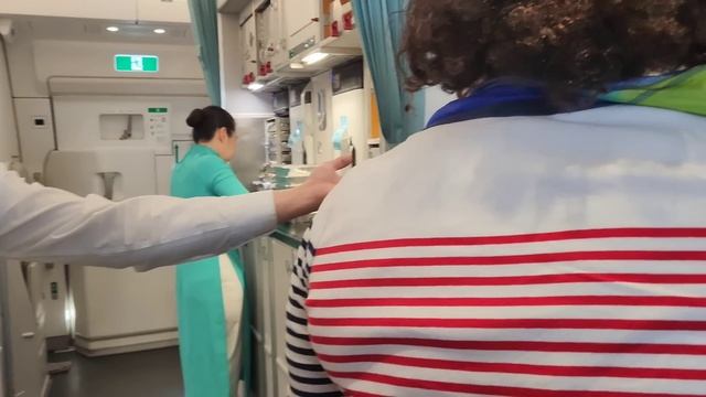 HÀNH TRÌNH PARIS BAY THẲNG SAIGON 12 TIẾNG VIETNAM AIRLINES HẠNG PREMIUM ECONOMY || Nick Nguyen смотреть онлайн