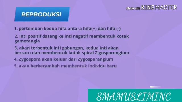 TUGAS SISWA KELAS 12 IPA 3 SMA MUSLIMIN CILILIN KBB MATERI FUNGI