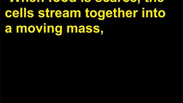 Intrebari Stiinta 144