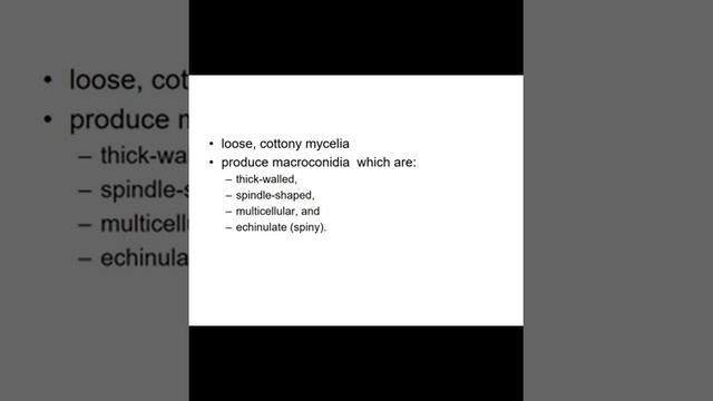 Prof. Raziuddin Ahmed | Pathology | 3rd Year | Sub Cutaneous Mycosis |09.06.2020 Part 2