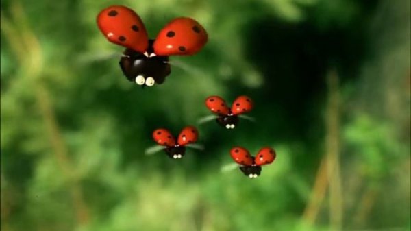 Minuscule 156 The Good Education