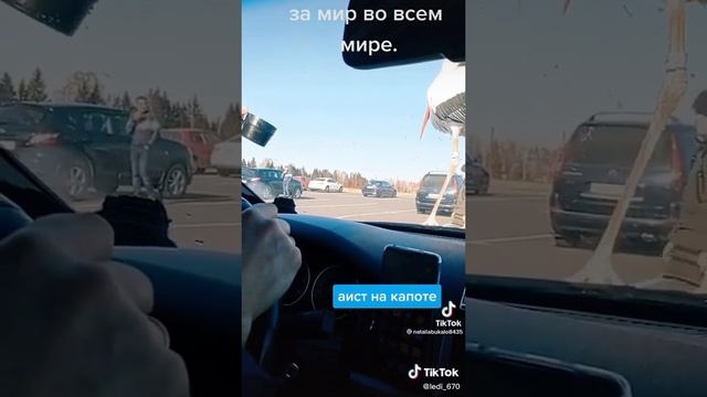 3 апреля 2024 г. смотреть онлайн