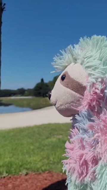 Slothy visits Lake Eva Community Park in Haines City, Florida #shorts смотреть онлайн