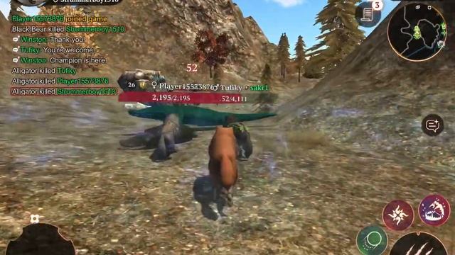 alligator champion featured in the wolf смотреть онлайн