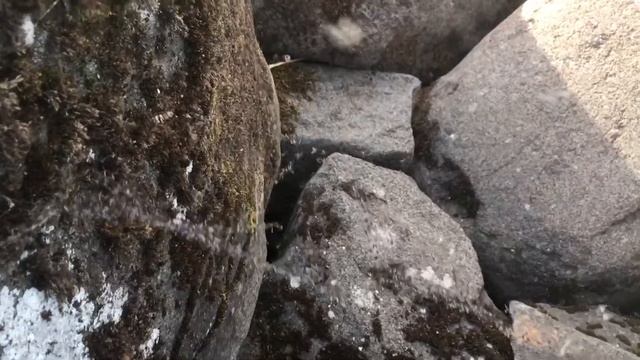 Happy spiders смотреть онлайн