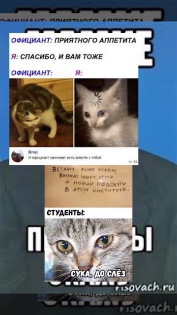 просто мем#приколы#рек#рекомендации#мем#мемы#шутки смотреть онлайн
