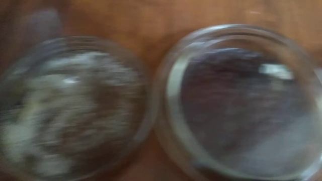 7 ноября 2020 г.