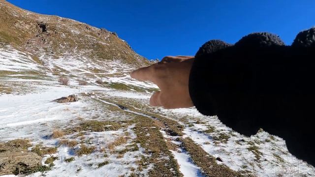 Lago di Sasso e Rifugio Santa Rita da Introbio,Trekking Lombardia. смотреть онлайн