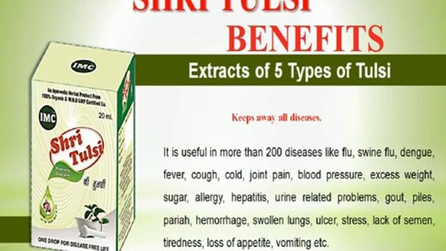 IMC SHRI TULSI BENEFITS IN TELUGU (Join Imc in hyderbad contact- 9948053563) смотреть онлайн