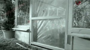 Реклама Китикет (Kitekat) - Борис поймал пчелу